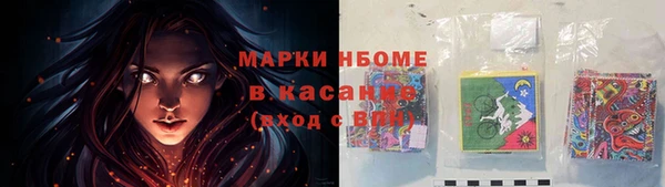 стафф Новозыбков