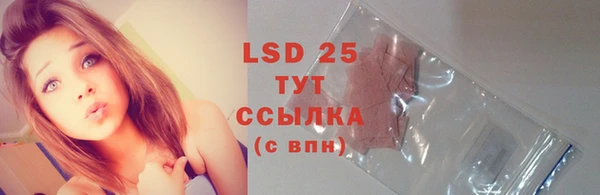стафф Новозыбков