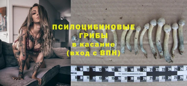 стафф Новозыбков