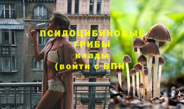 сатива Нея